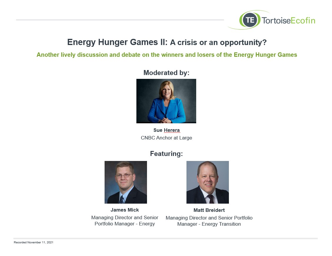 Insights image - Energy Hunger Games II: a crisis or an opportunity?